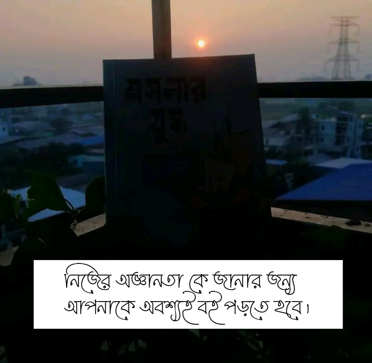 বই নিয়ে স্ট্যাটাস 