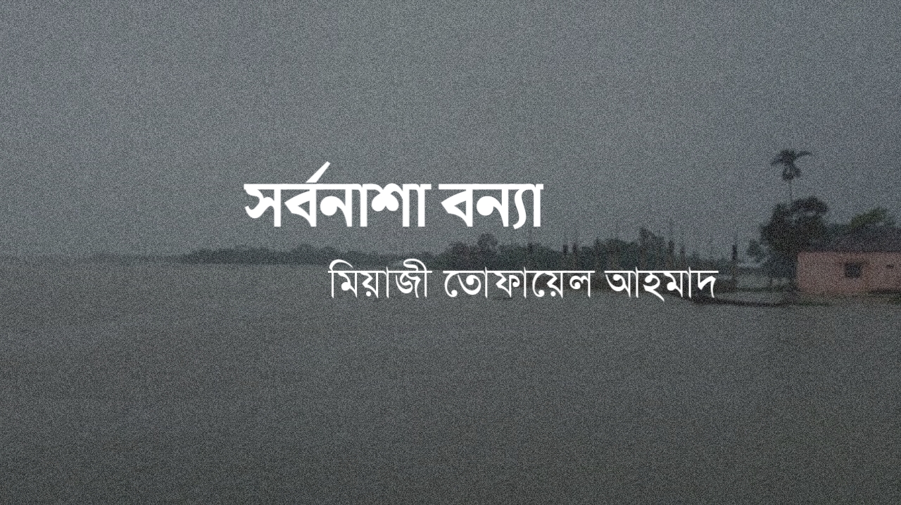 সর্বনাশা বন্যা কবিতা, বন্যা নিয়ে কবিতা 