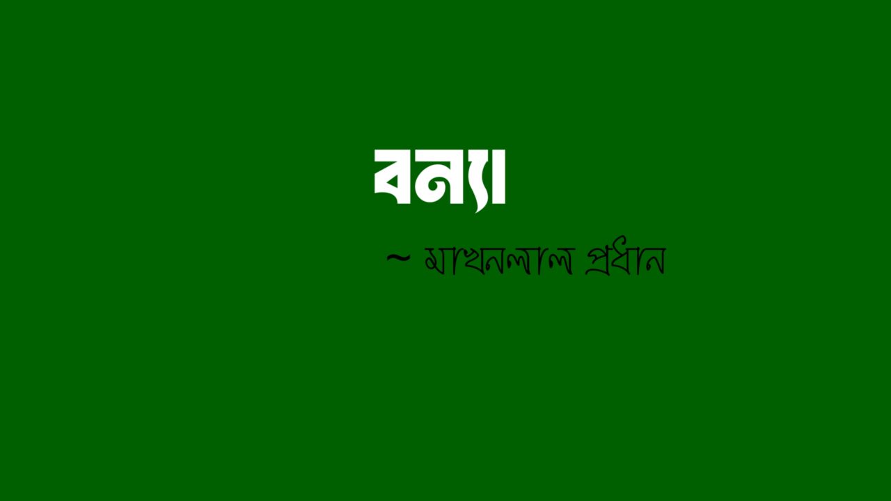 বন্যা নিয়ে লেখা লেখি