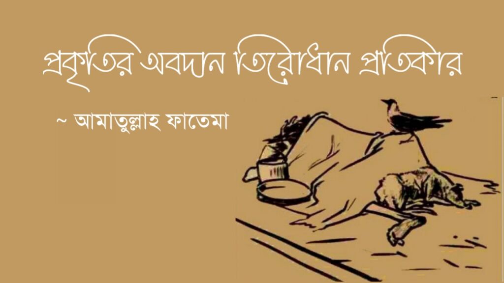 প্রকৃতির অবদান তিরোধান প্রতিকার কলমে আমাতুল্লাহ ফাতেমা