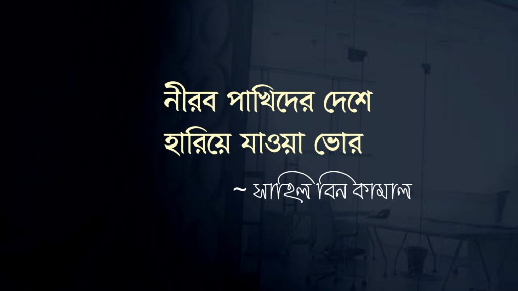 নীরব পাখিদের দেশে হারিয়ে যাওয়া ভোর লেখক: সাহিল বিন কামাল