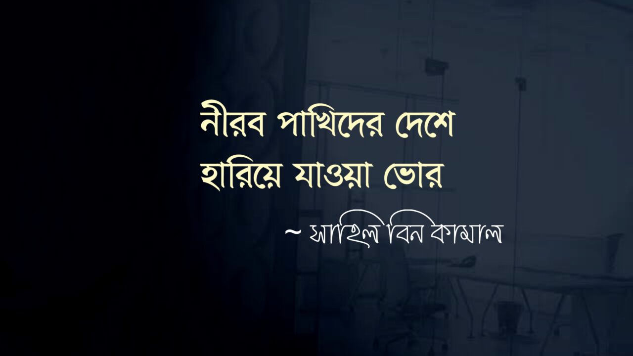 নীরব পাখিদের দেশে হারিয়ে যাওয়া ভোর লেখক: সাহিল বিন কামাল