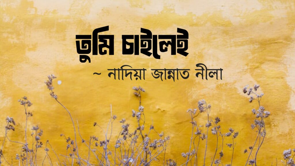 তুমি চাইলেই কলমে নাদিয়া জান্নাত নীলা