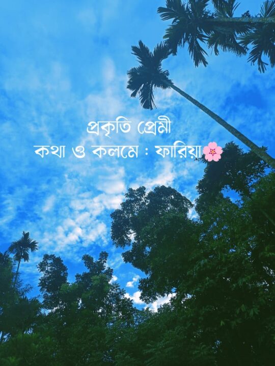 কবিতা প্রকৃতি প্রেমী কলমে ফারিয়া