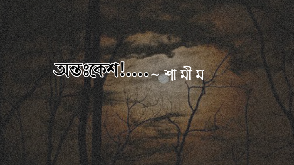 কবিতা অন্তঃকেশ! কলমে শামীম